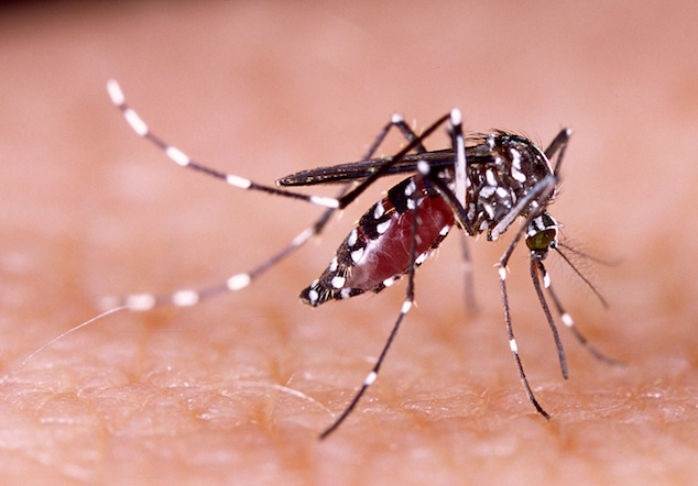 MRIGlobal Furthers Study Of Zika Virus
